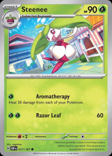 017/197 Steenee - Obsidian Flames